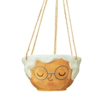 XDC379_B_Hanging_Rose_Planter
