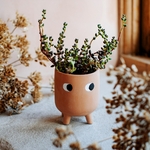 petit-cache-pot-yeux-ouverts
