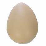 Oeuf à faire éclore Dinosaure   Large