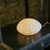 Lampe decorative Oursin en porcelaine blanche