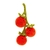 peluche-jellycat-tomate-vivacious-vegetable-tomato-vv6t-8cm