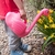 flamingo-watering-can-26662-lifestyle_0