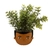 xdc373-b-mini-ezra-planter-lifestyle