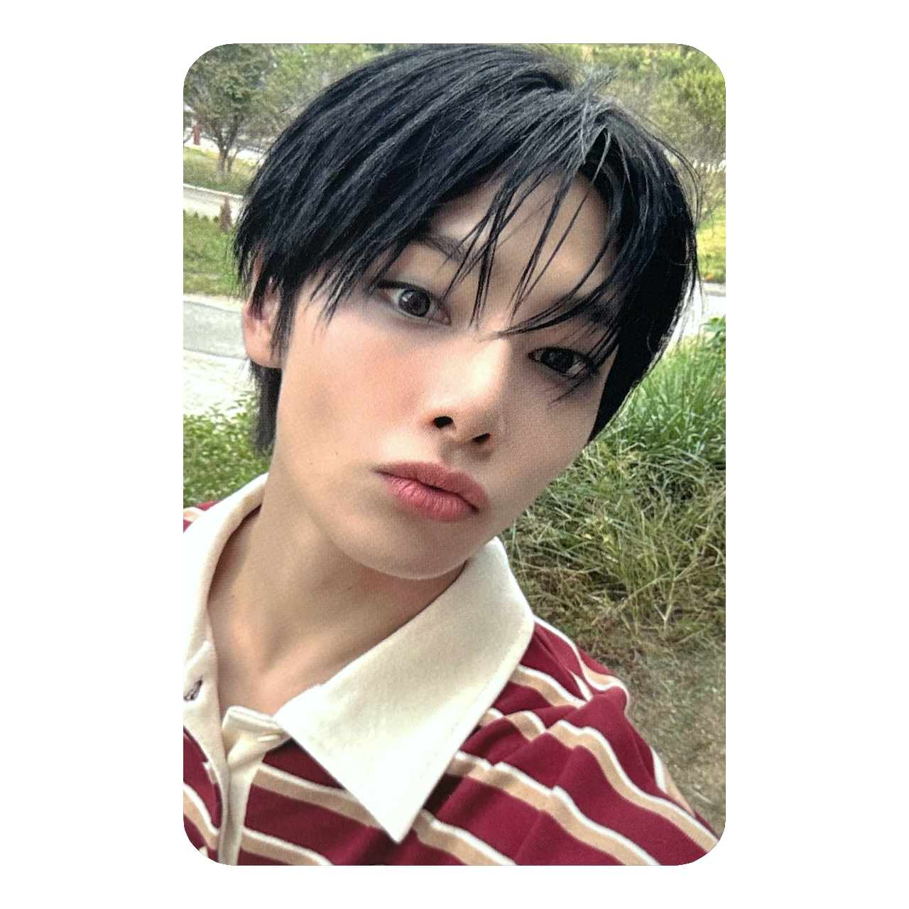 PHOTOCARD HOP MUSIC KOREA POB I.N (STRAY KIDS)