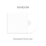 bts vinyle