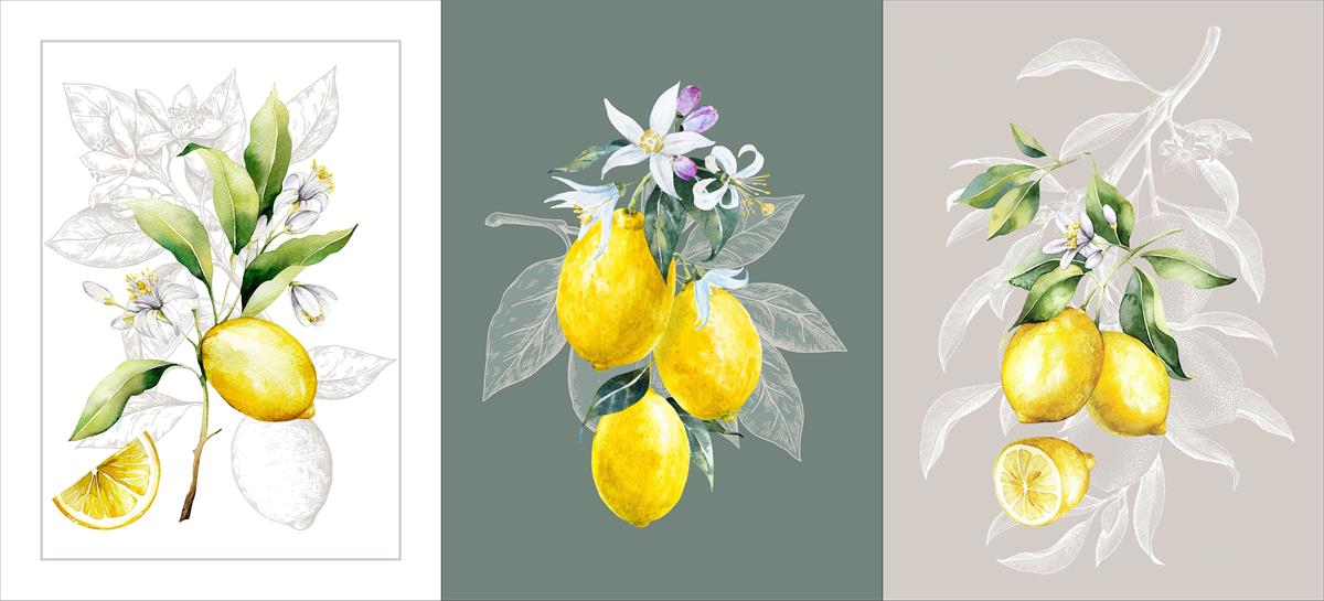 kit-couture-debutant-torchons-citrons-coton