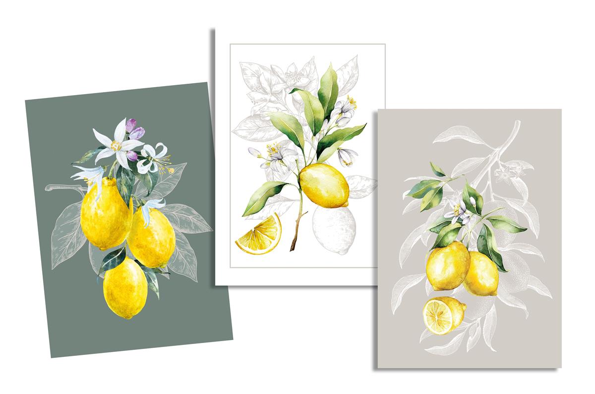torchons-cuisine-mediterraneens-citrons-aquarelle