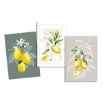 torchons-cuisine-mediterraneens-citrons-aquarelle