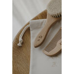 brosse-peigne-hirondelles (2)