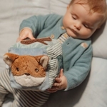 0033593_zachte-activiteitenkubus-forest-friends
