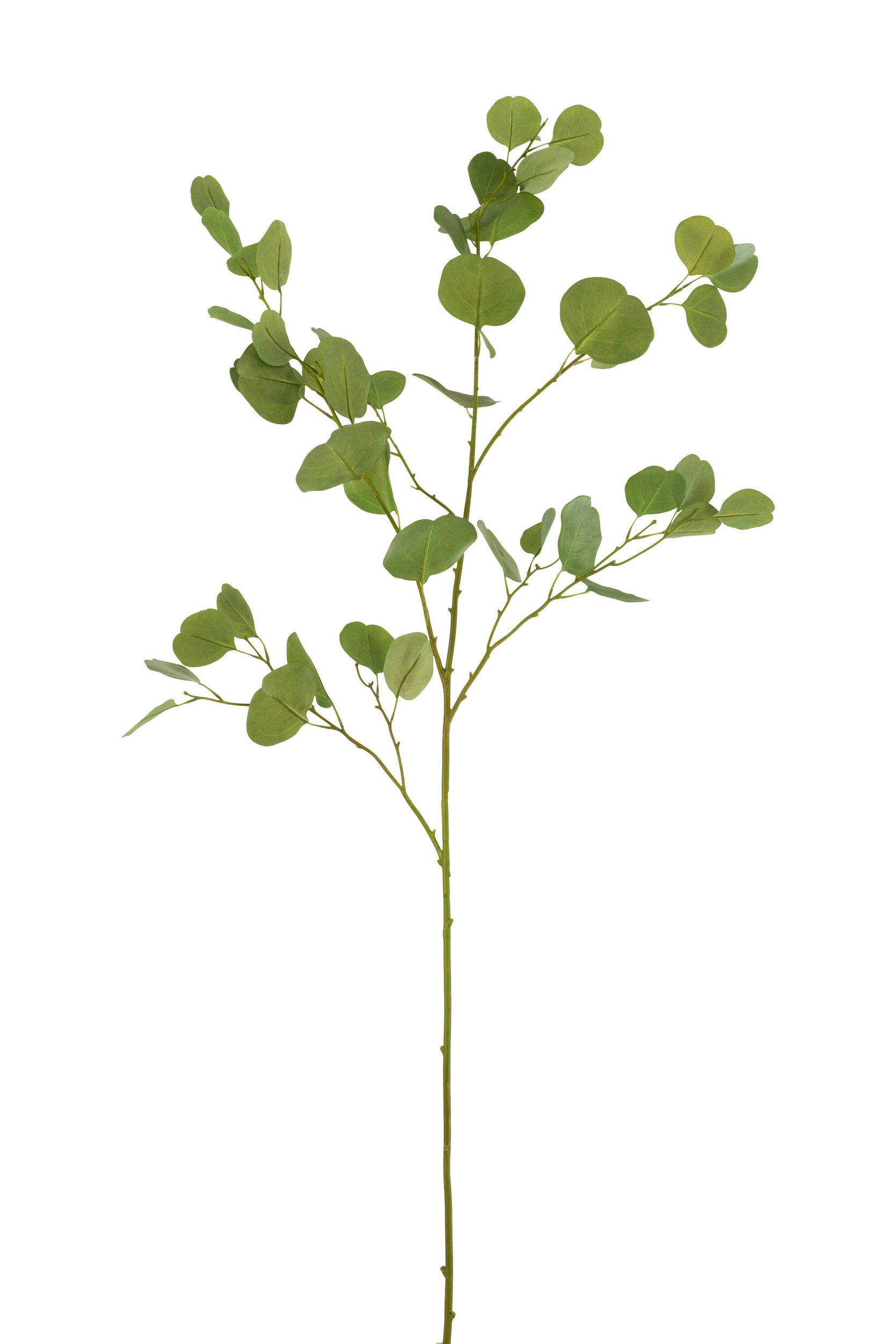 Fagot herbes + graminees plastique vert/beige small - J-Line