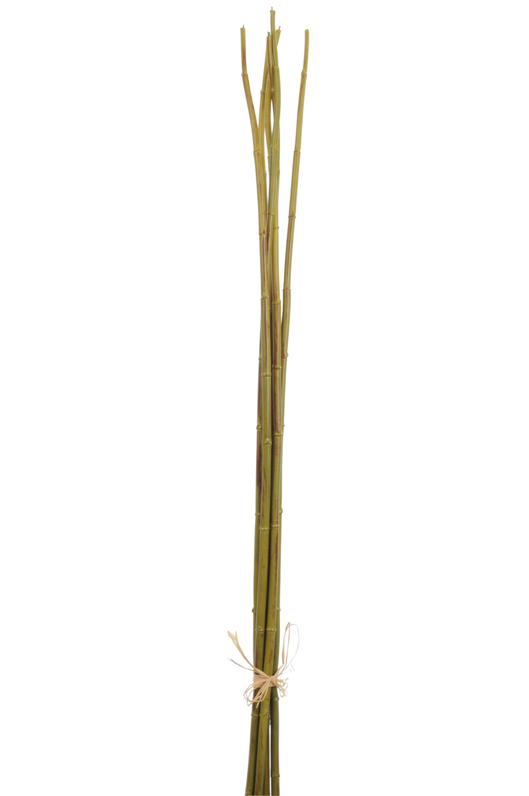 12407