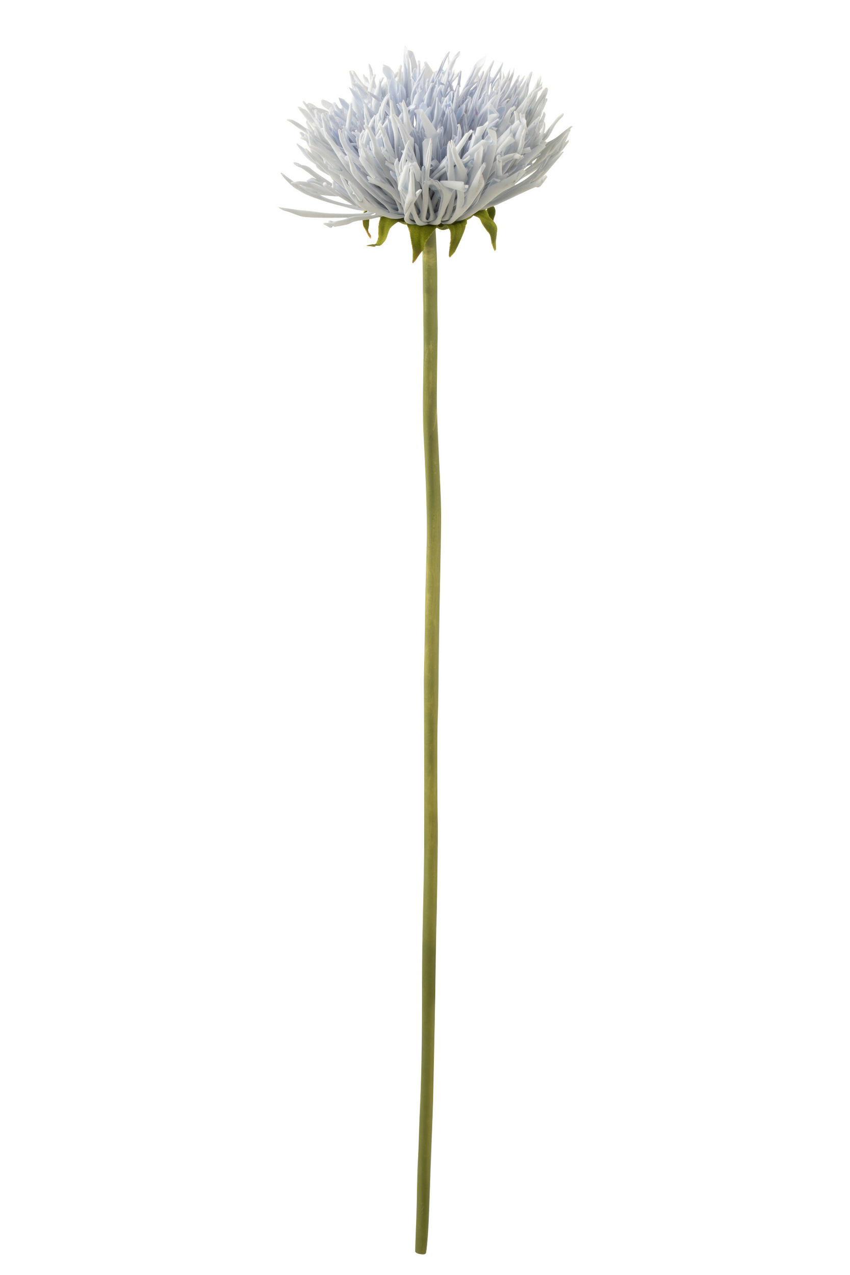33053