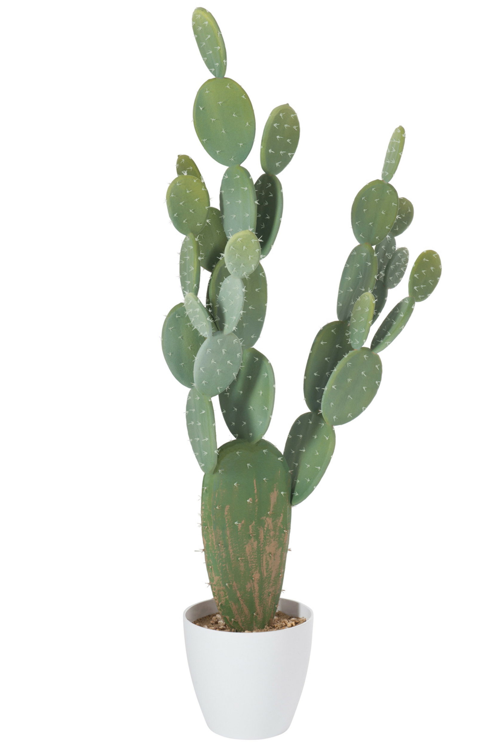 67039