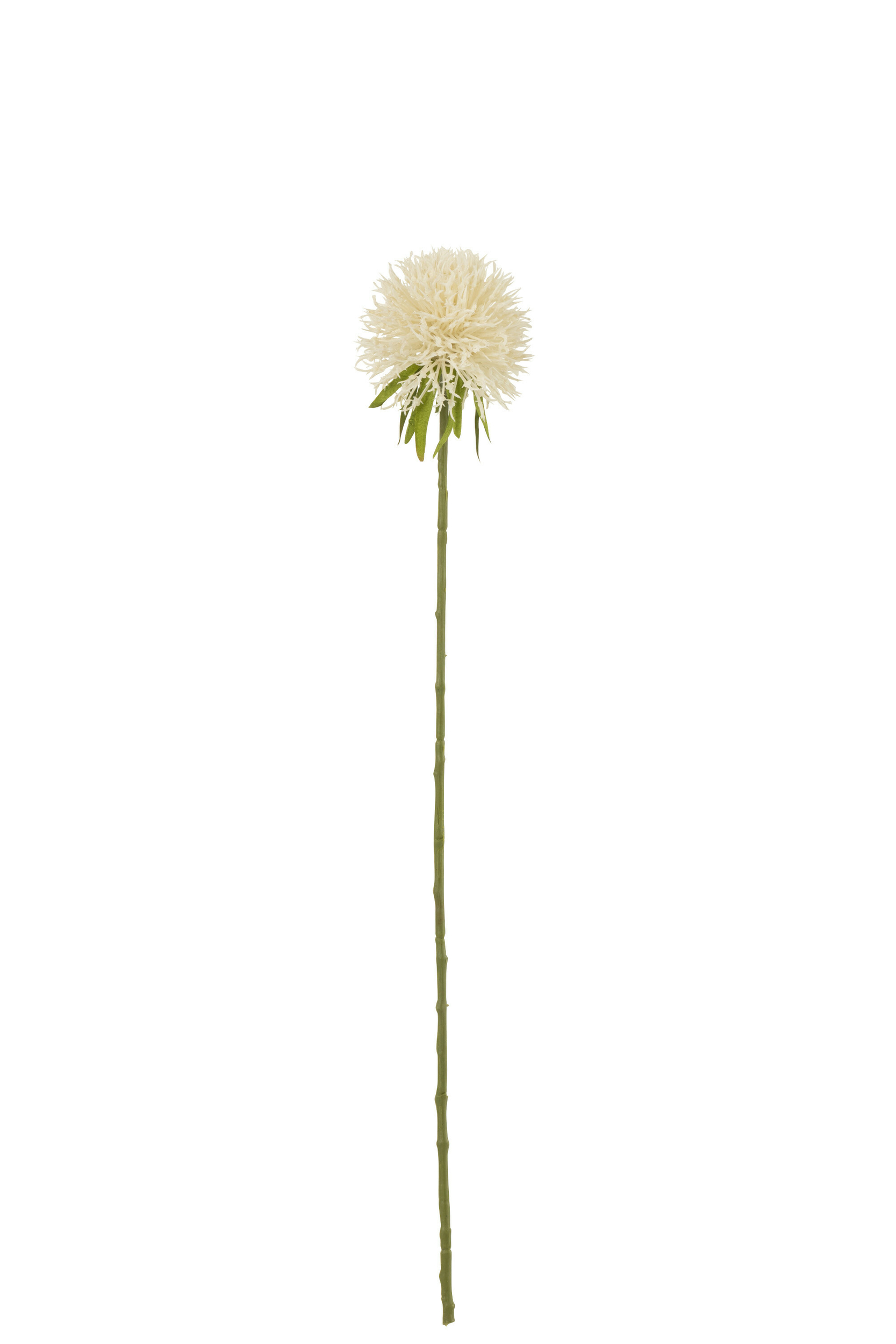 33040