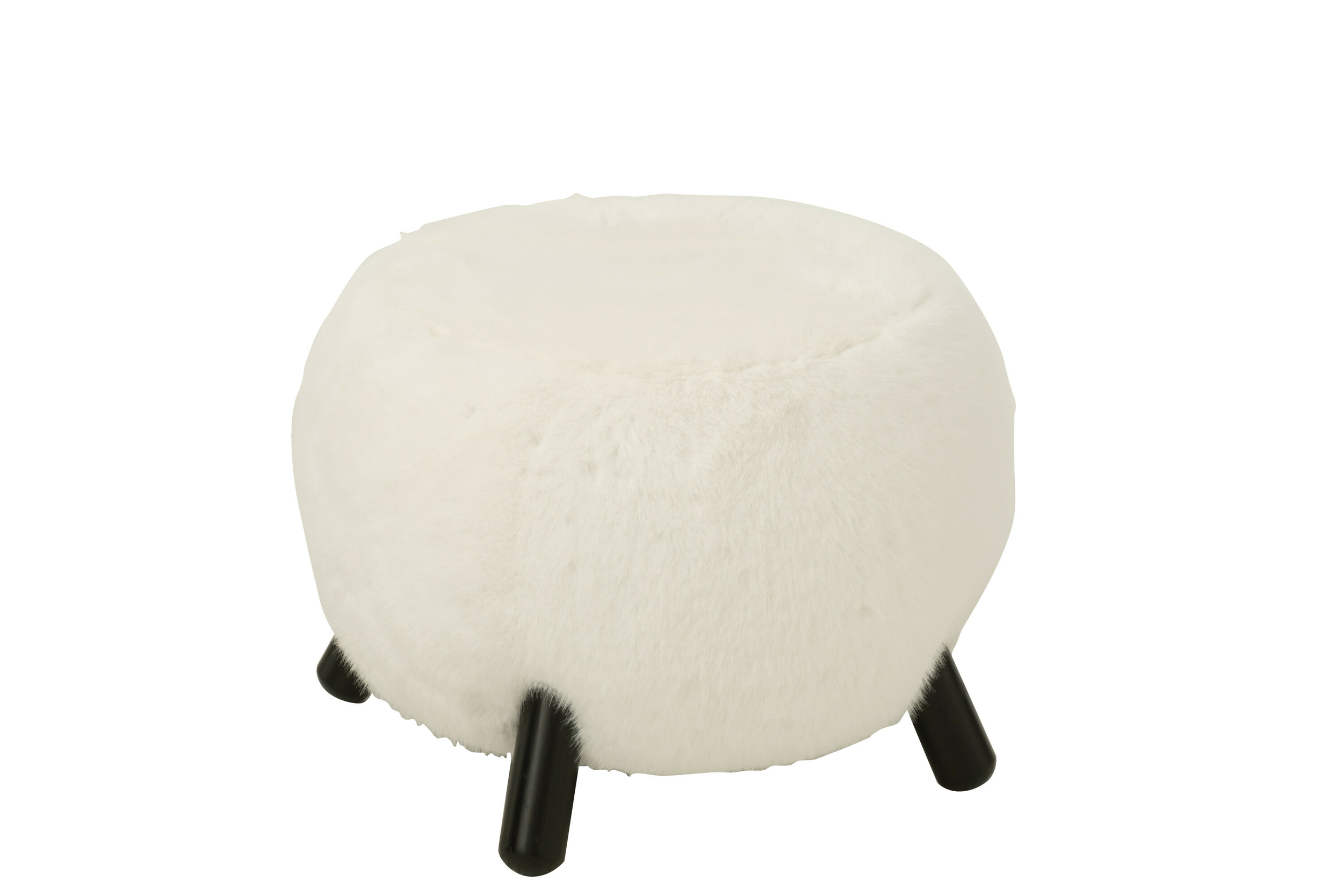55954