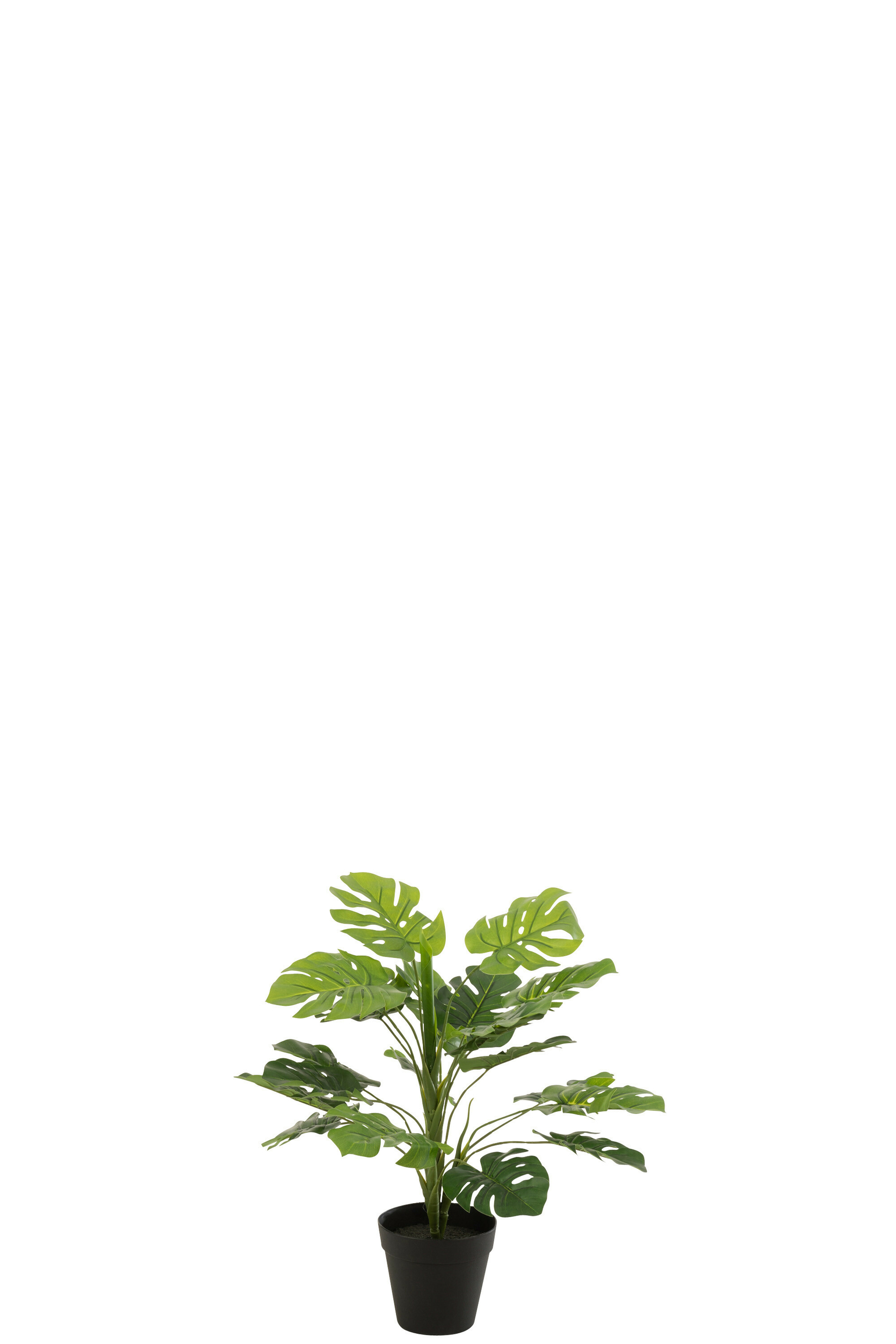 12527