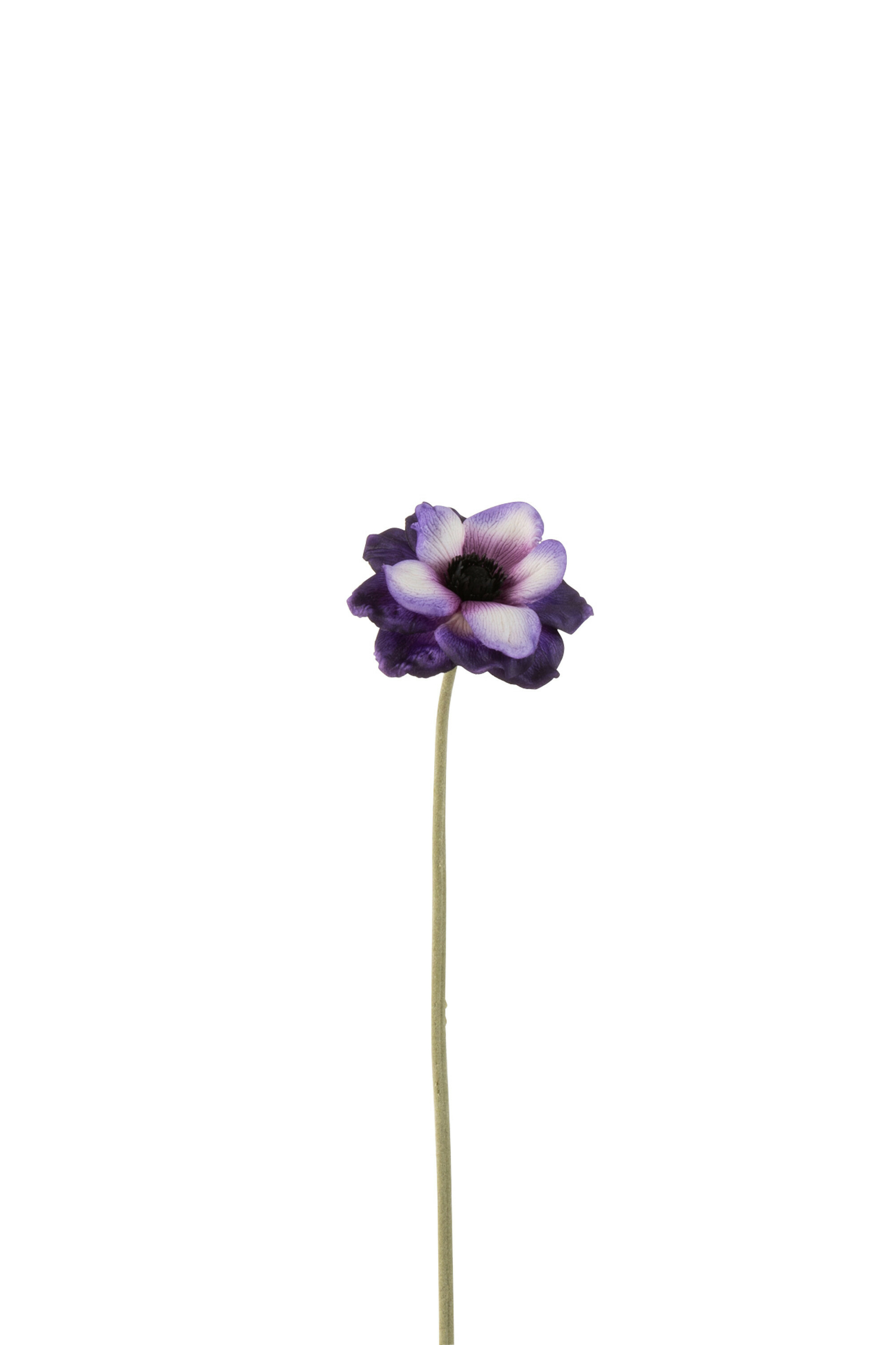 2572