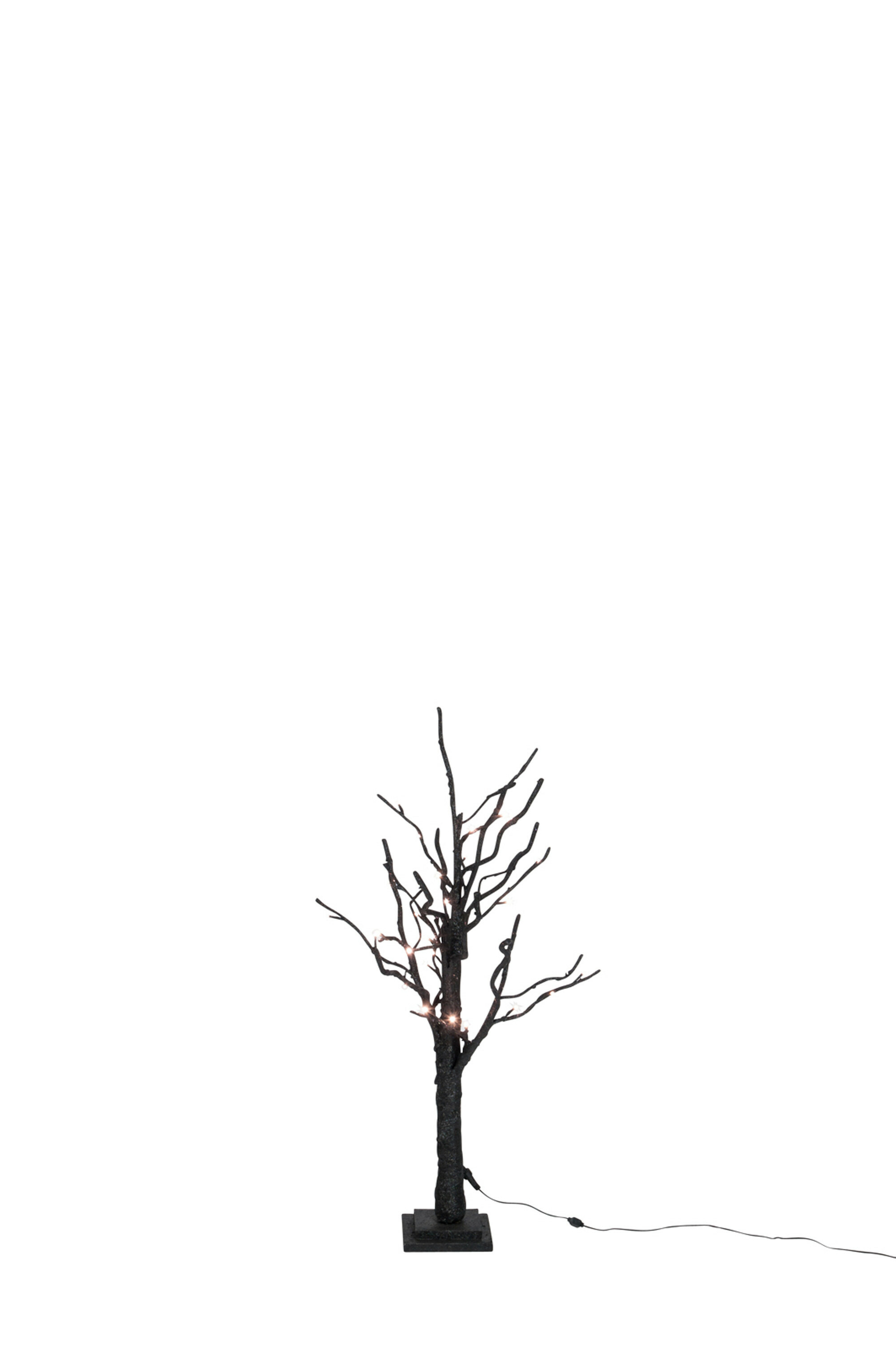 58076