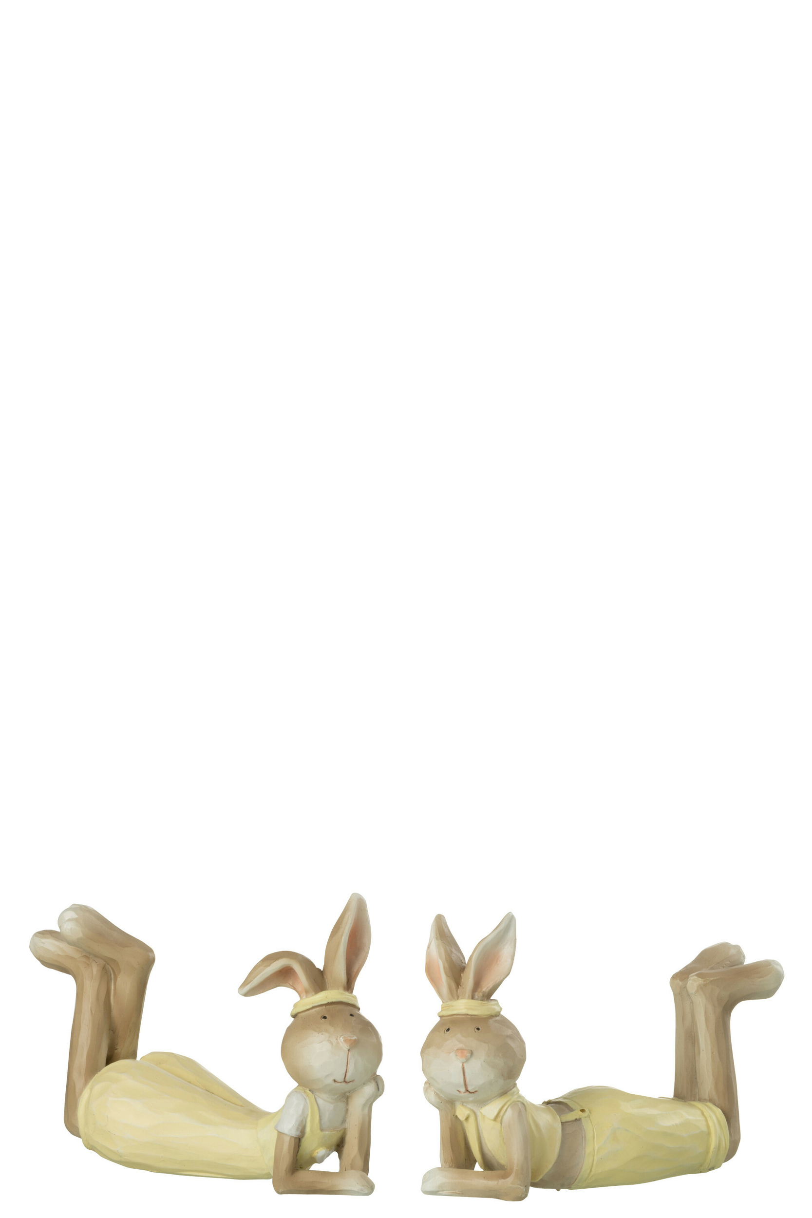32566