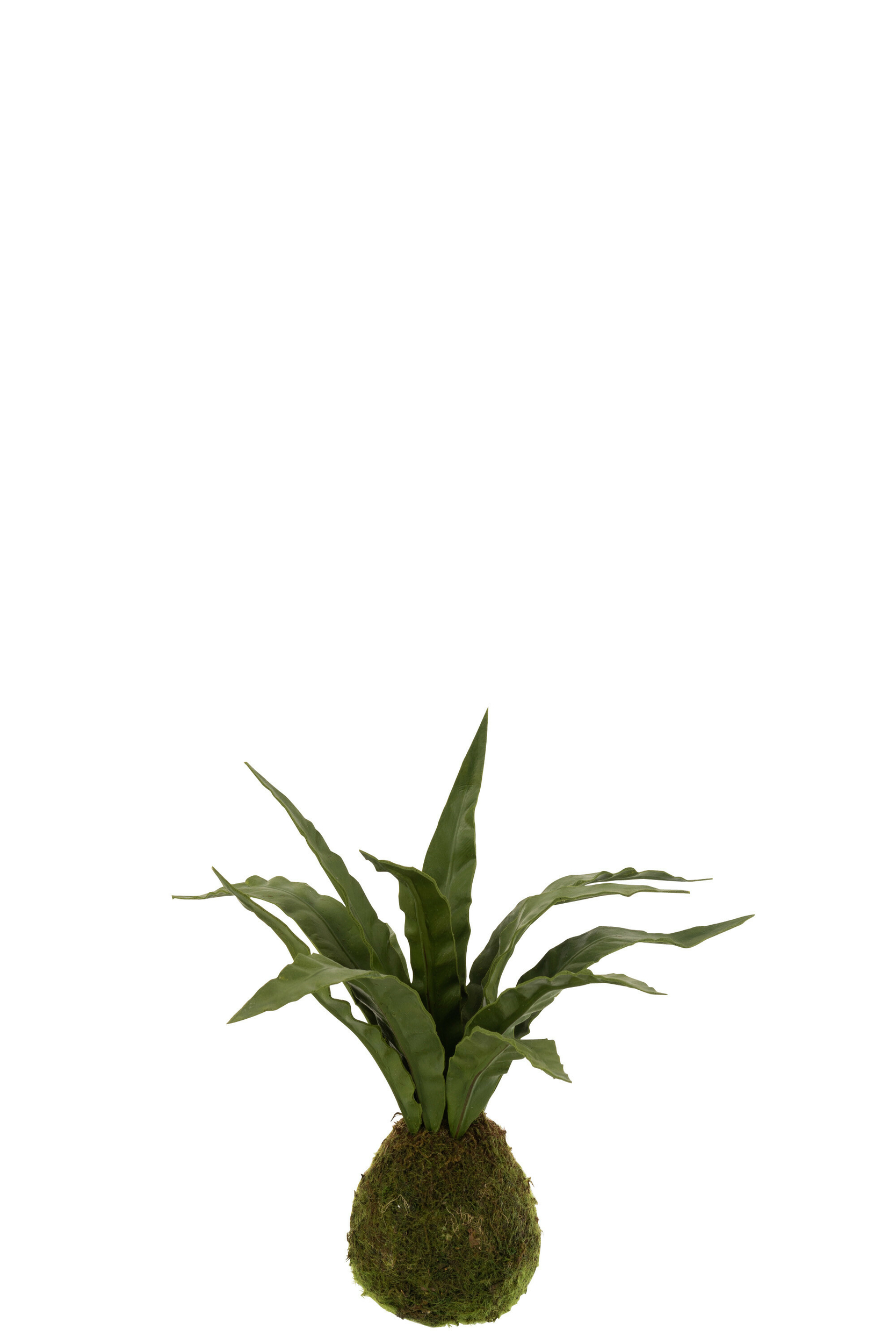 12520