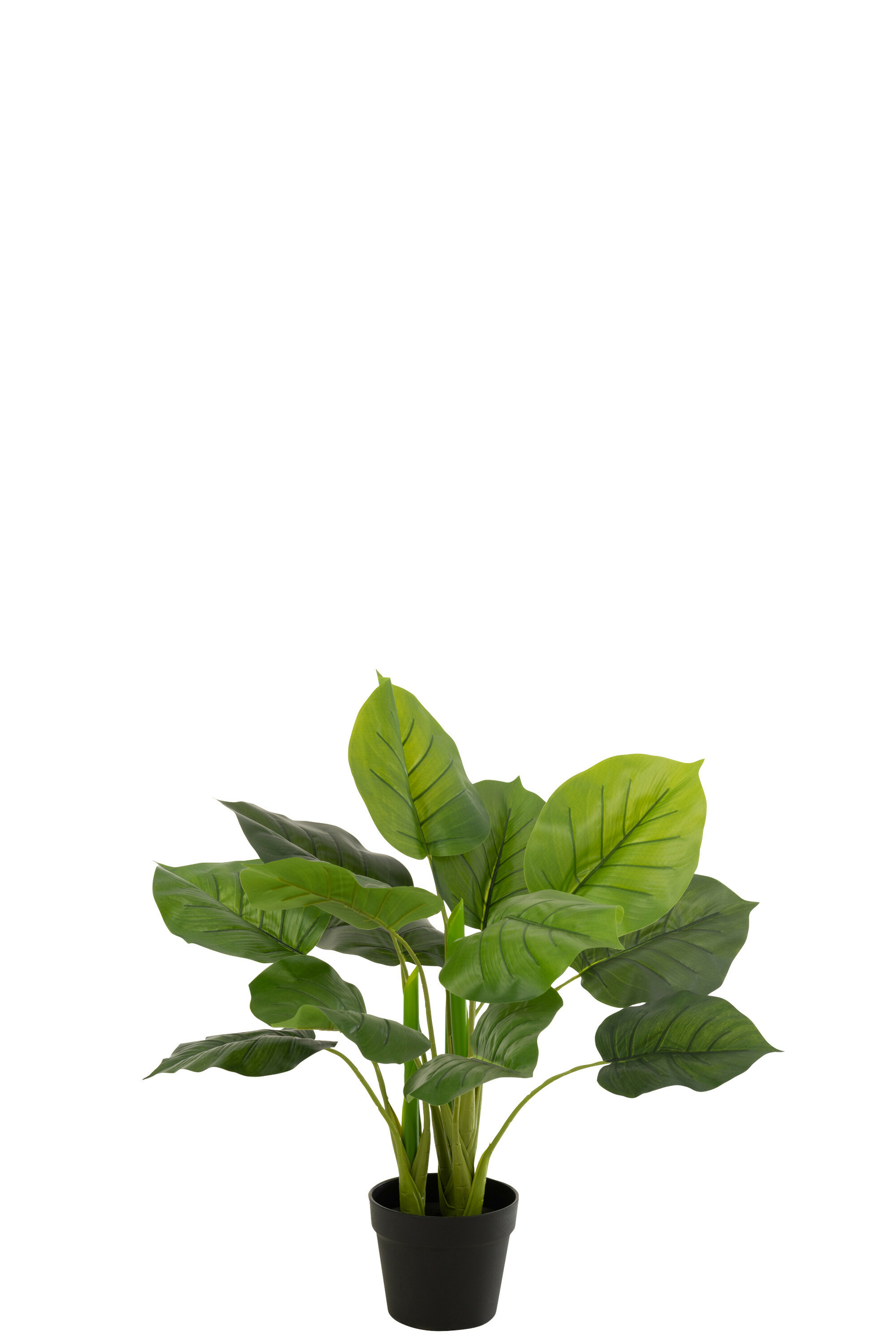 12530
