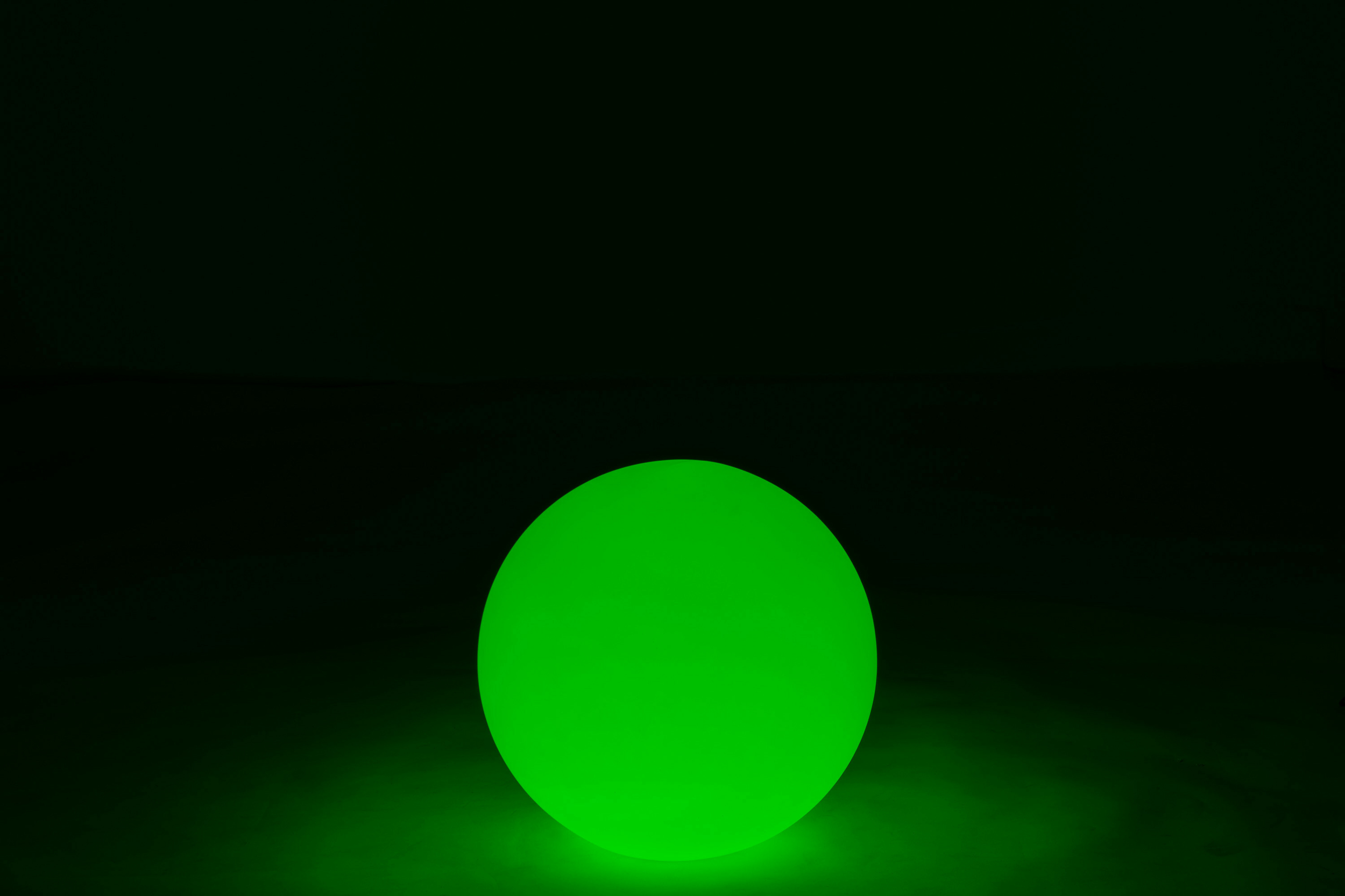 20273-8