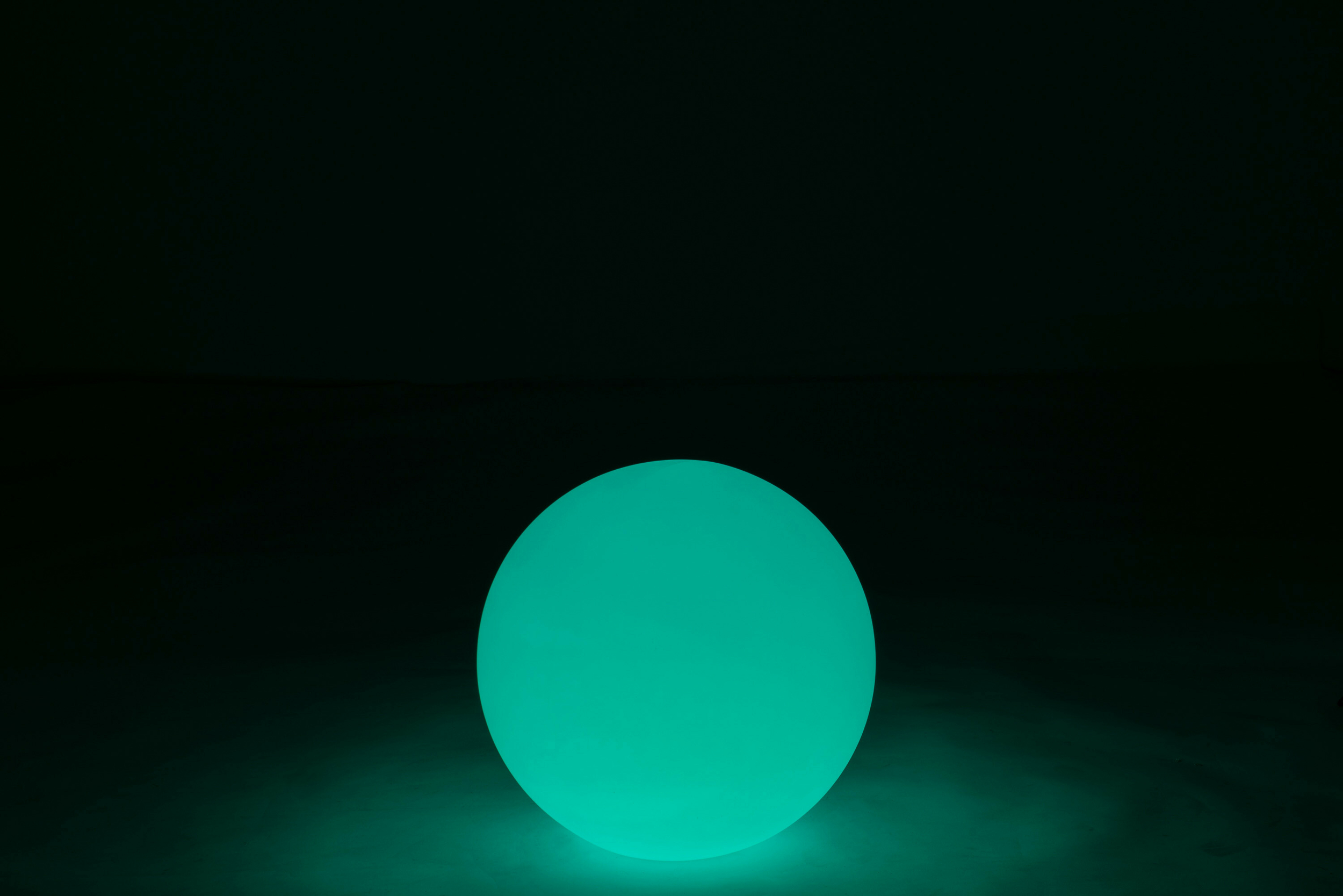 20273-9