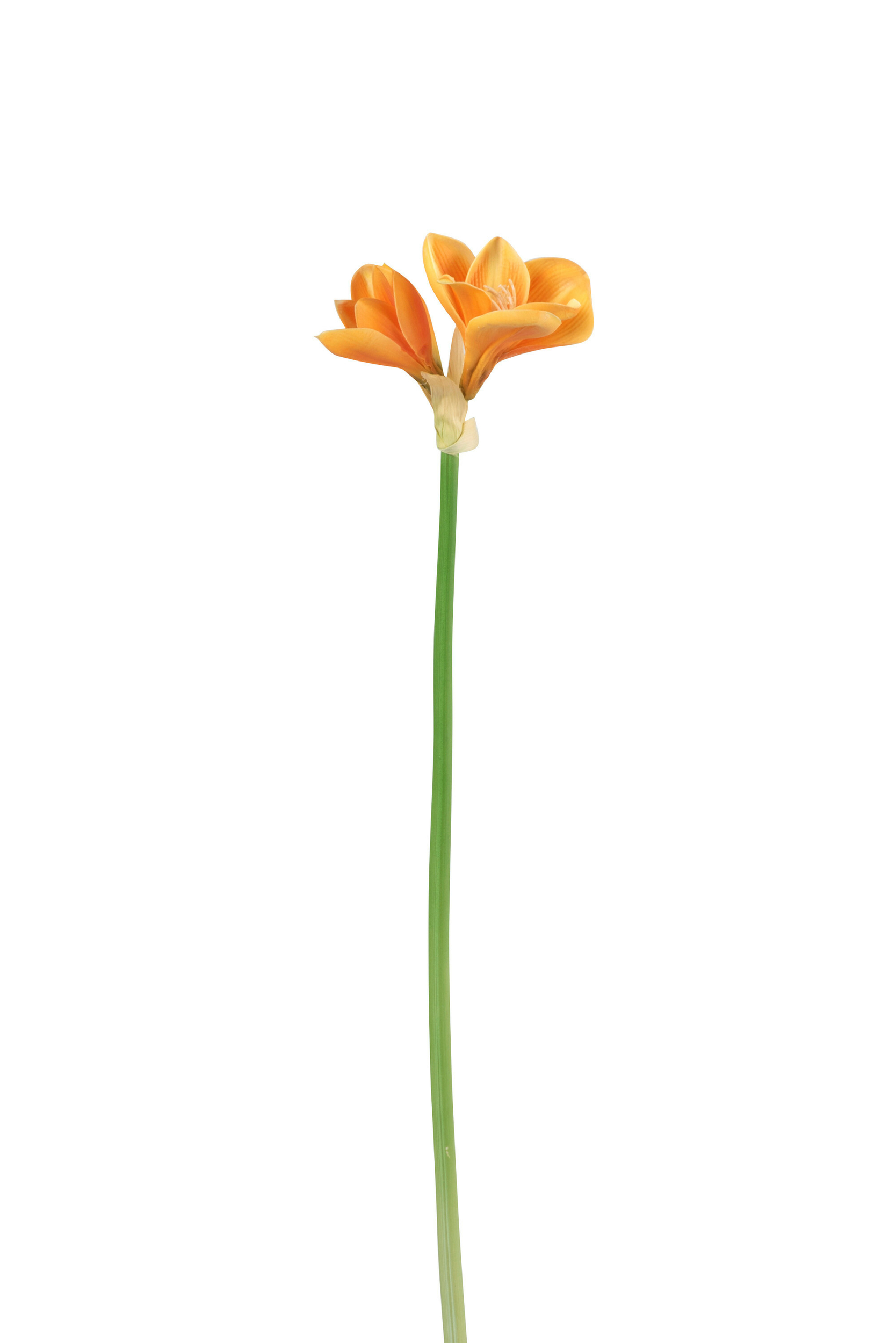 93905