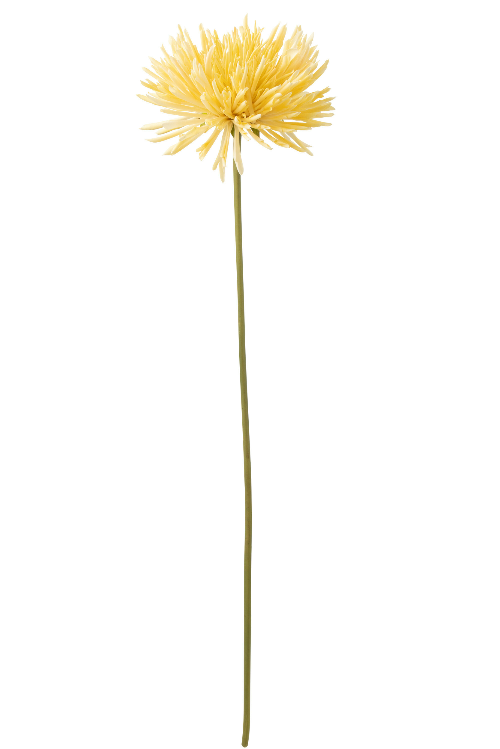 33047