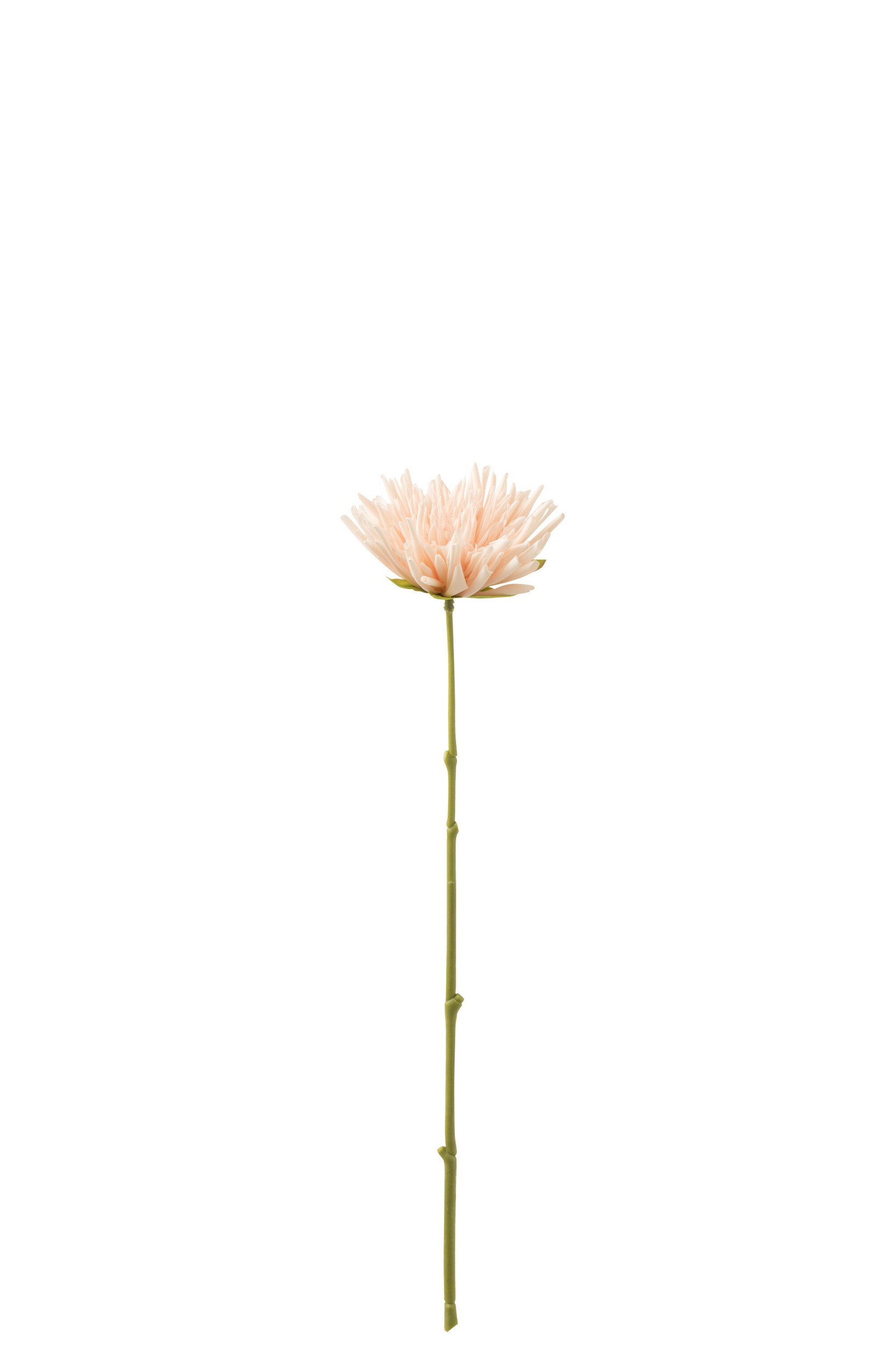 33050