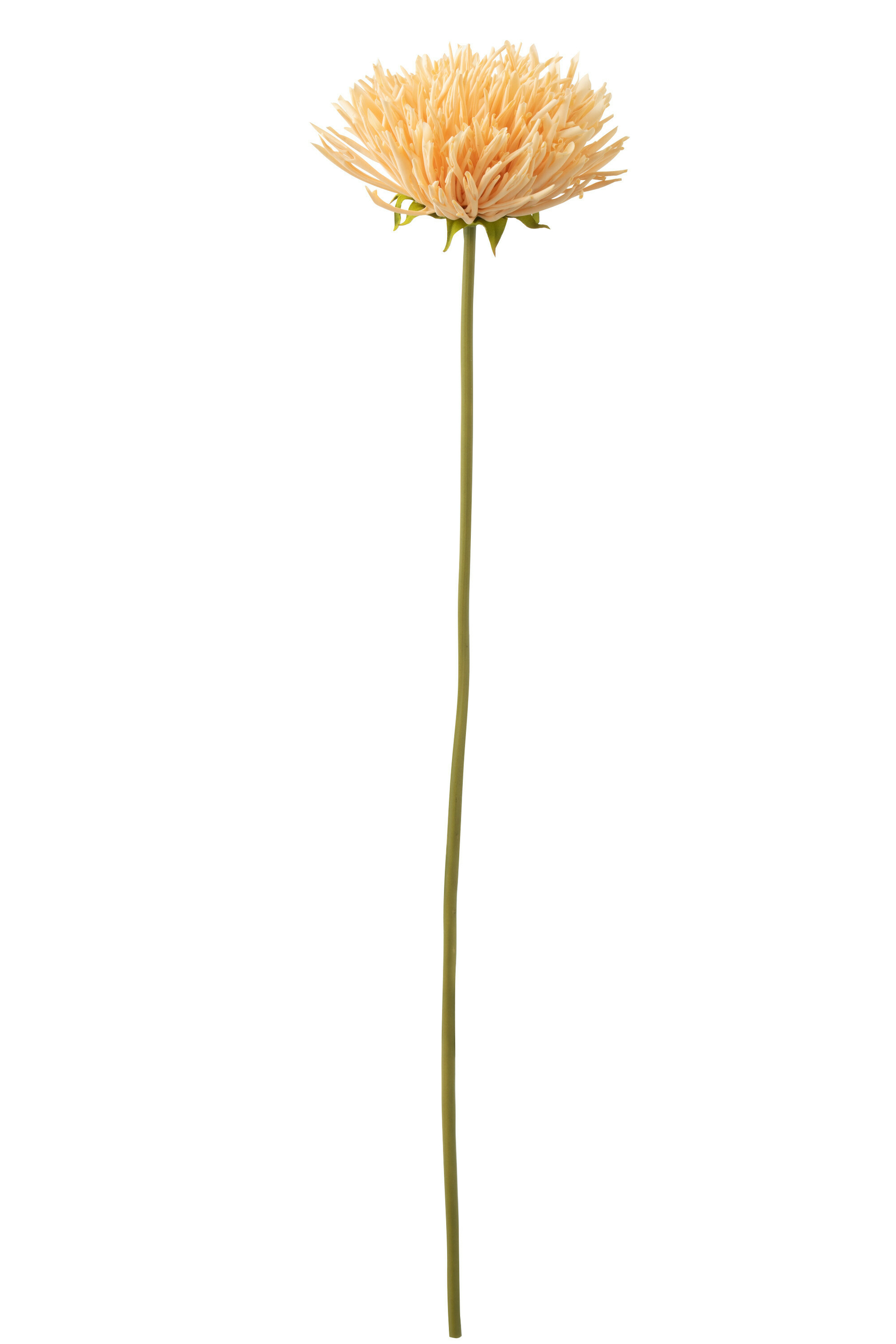 33049