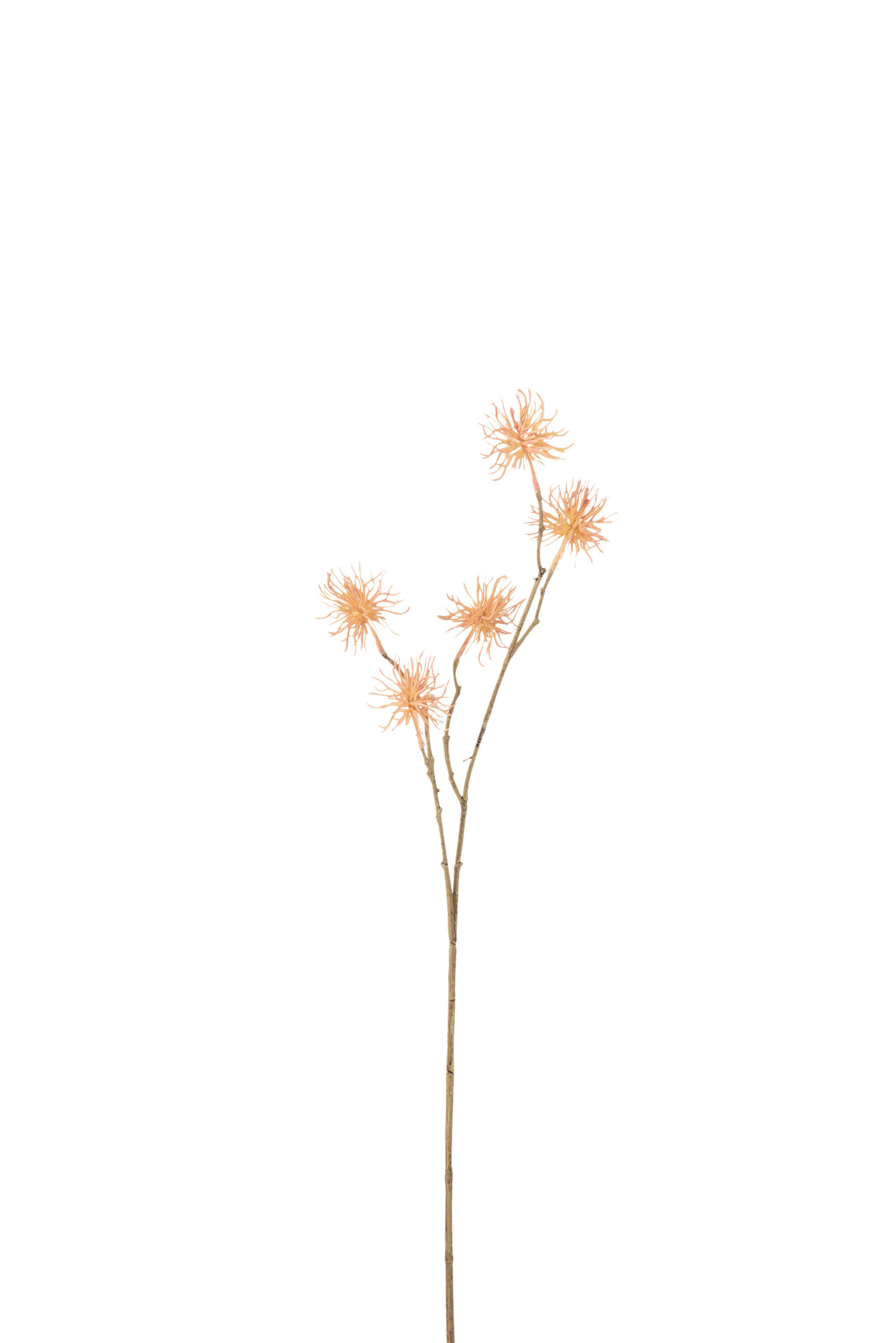 12118