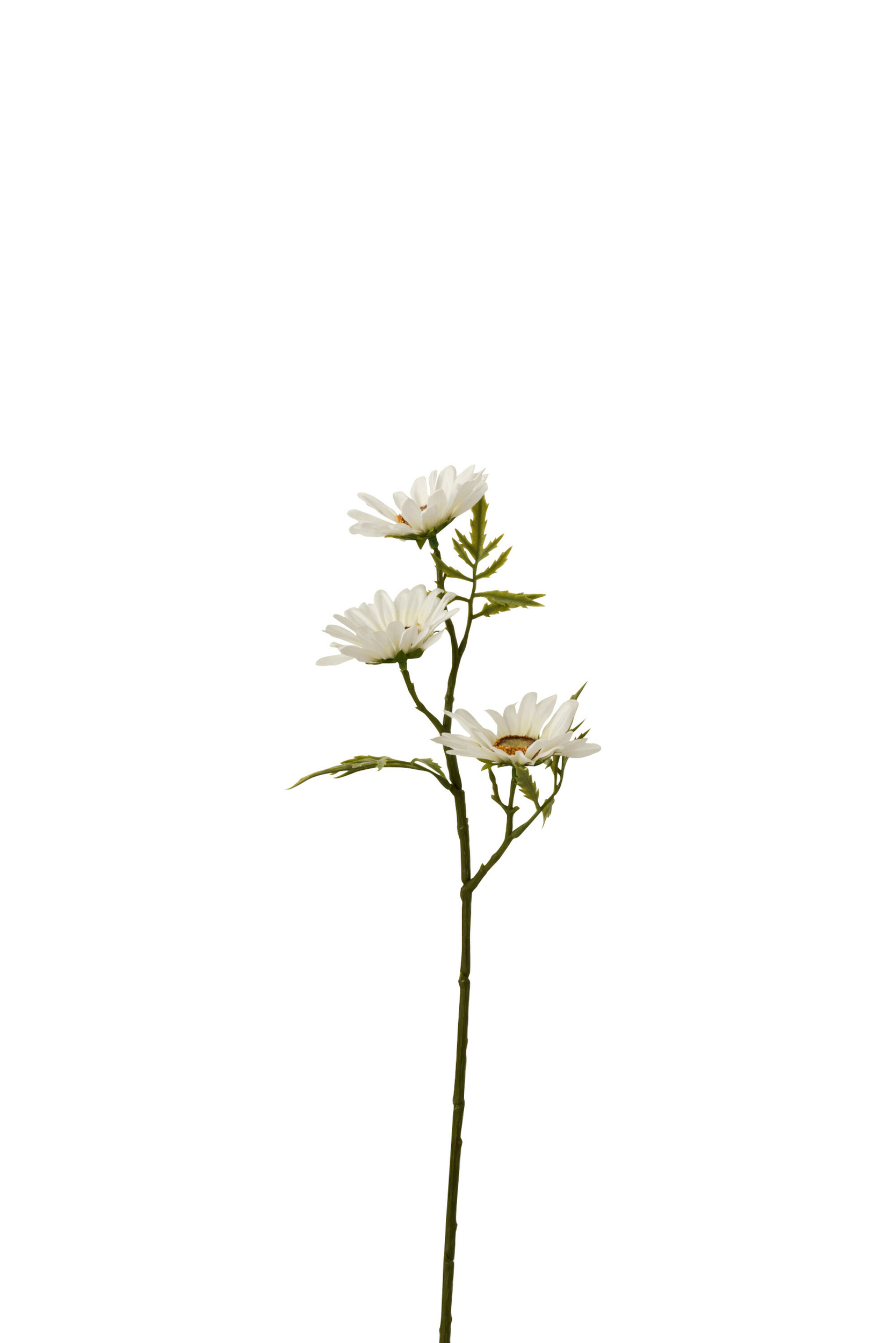 12465