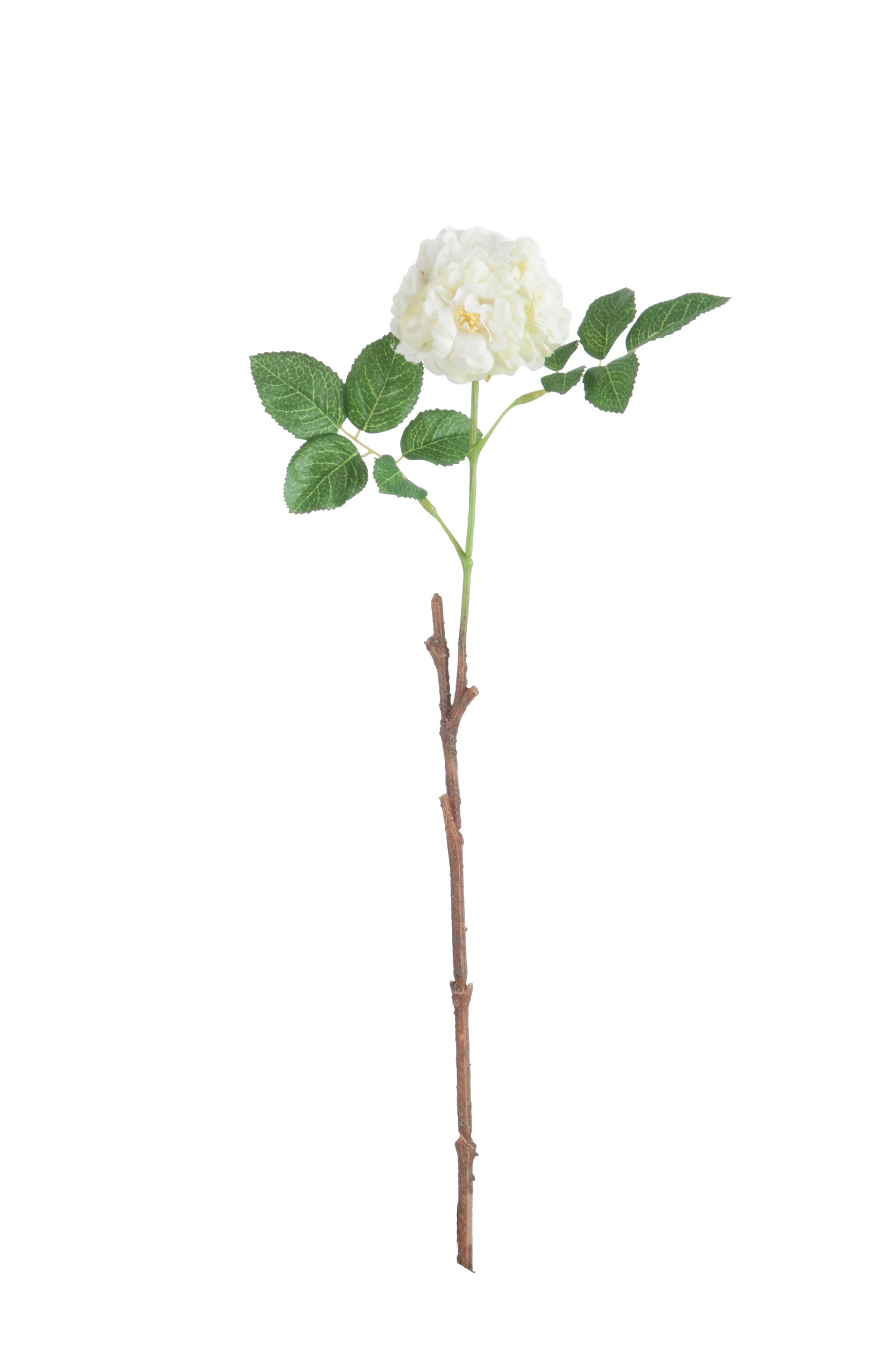 80166