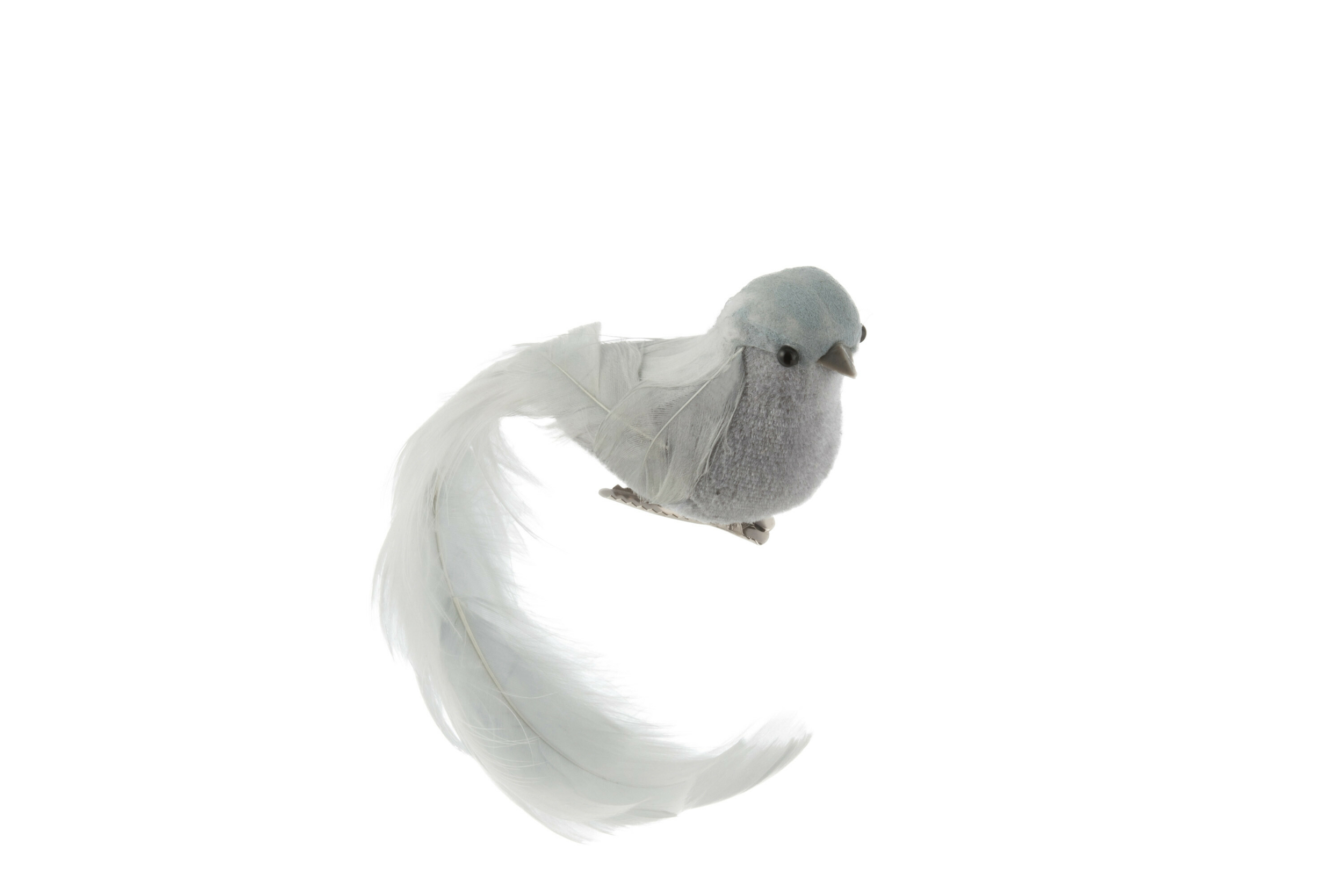 8042