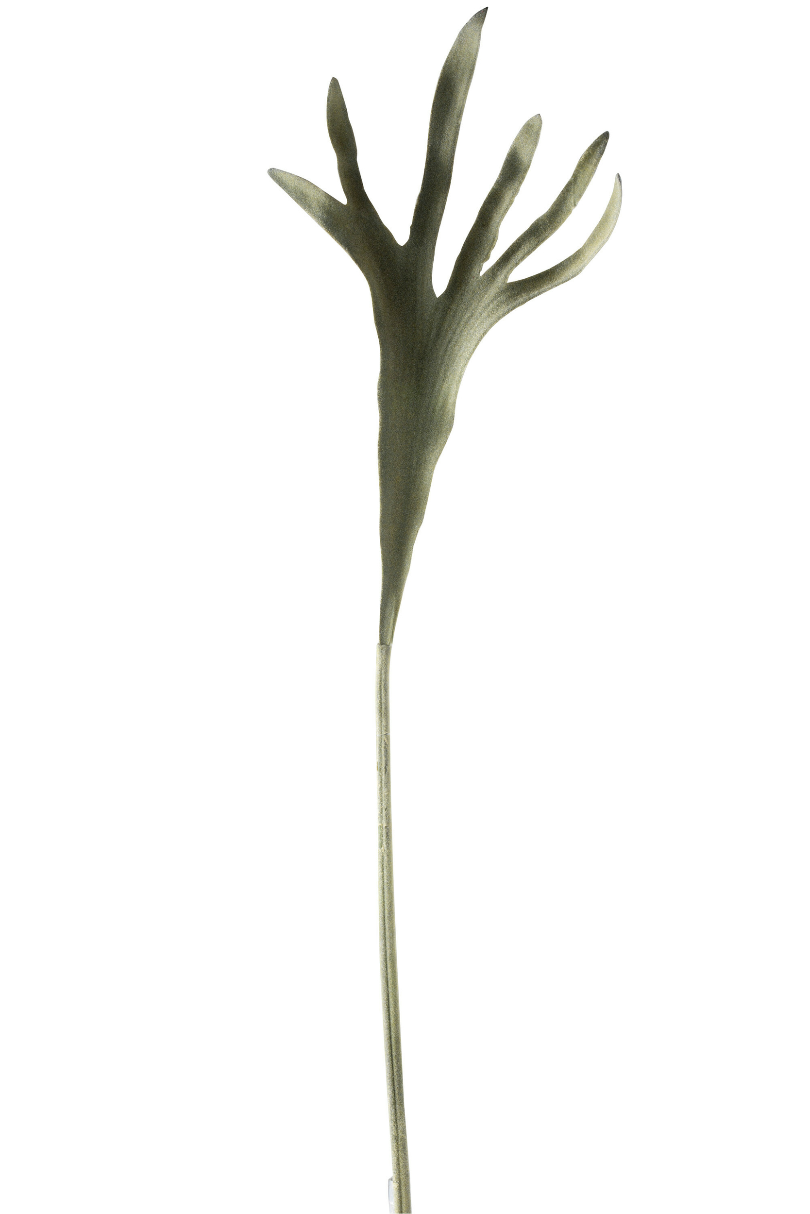 97263