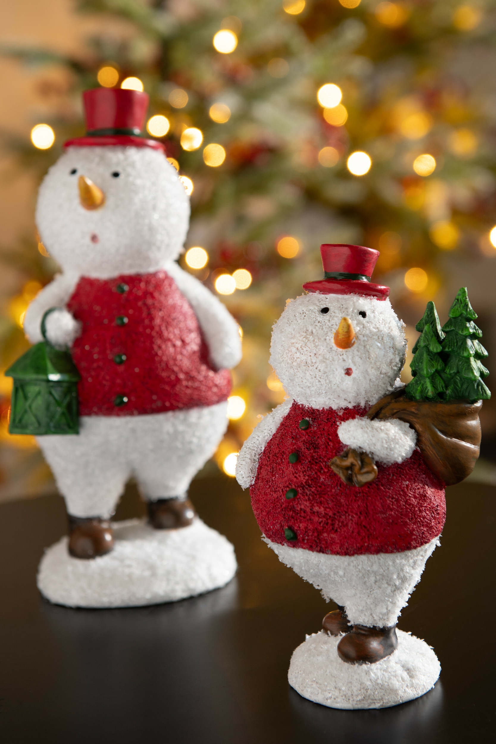 45666-B