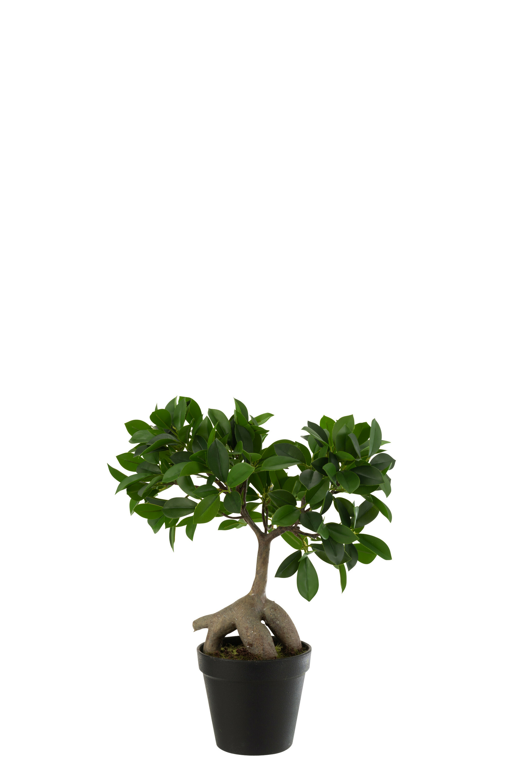 12517