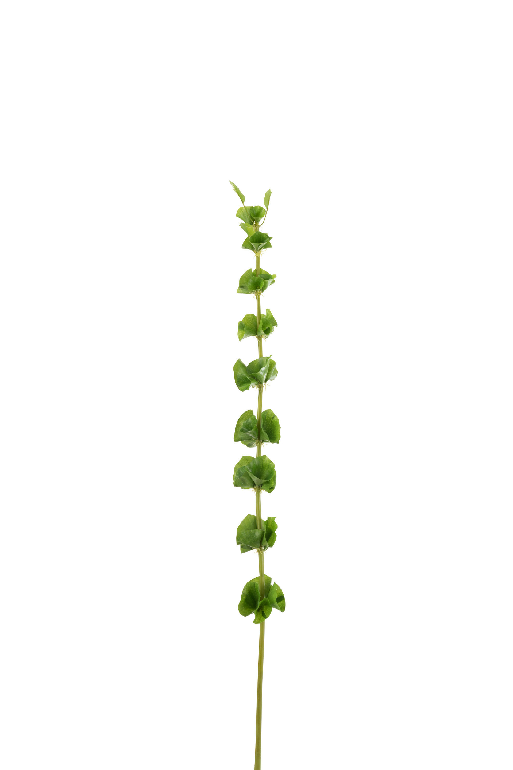 12510