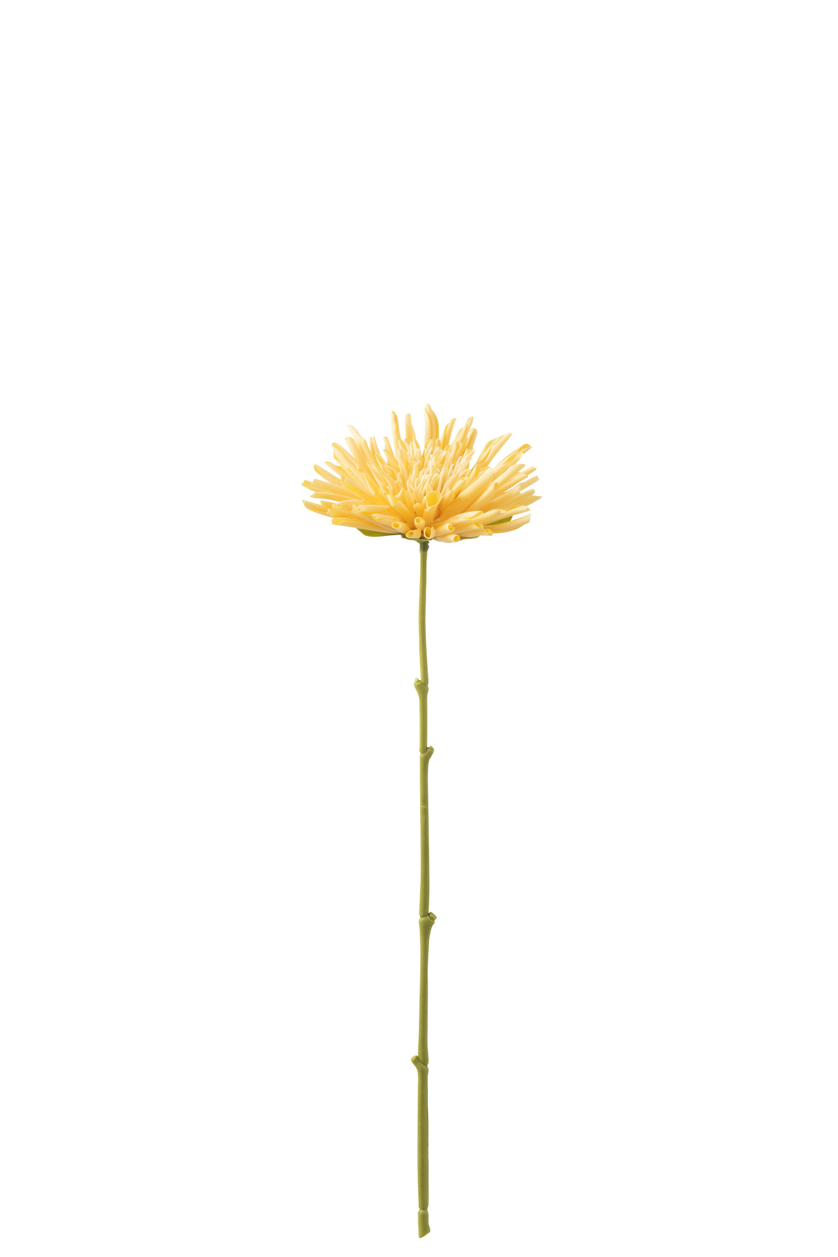 33046