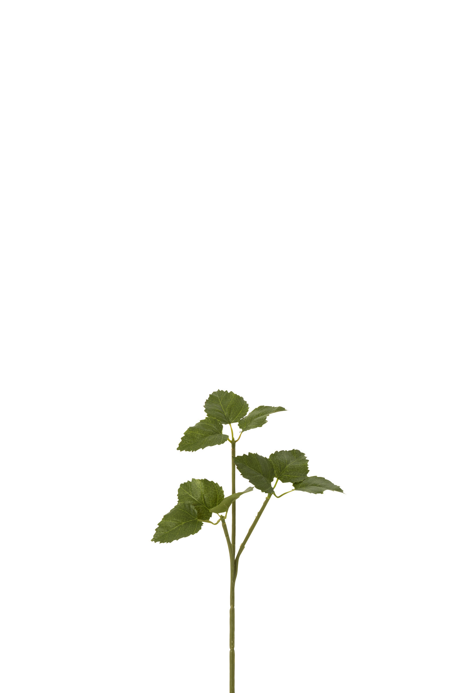 12474