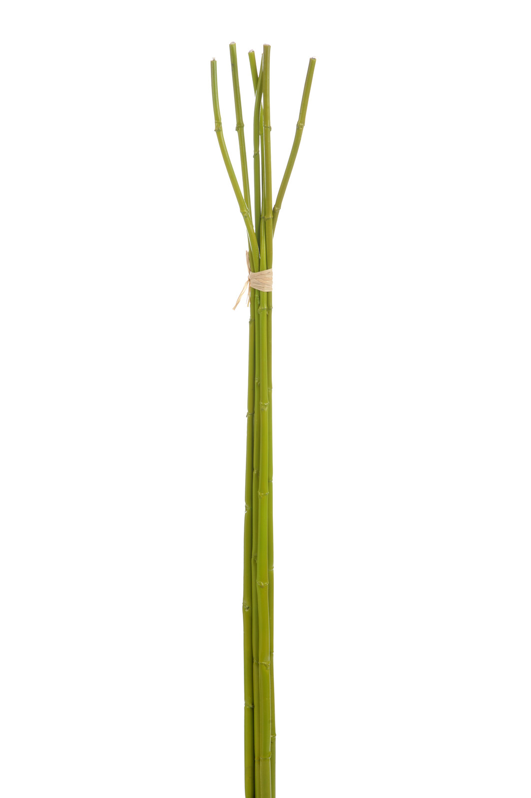 30732