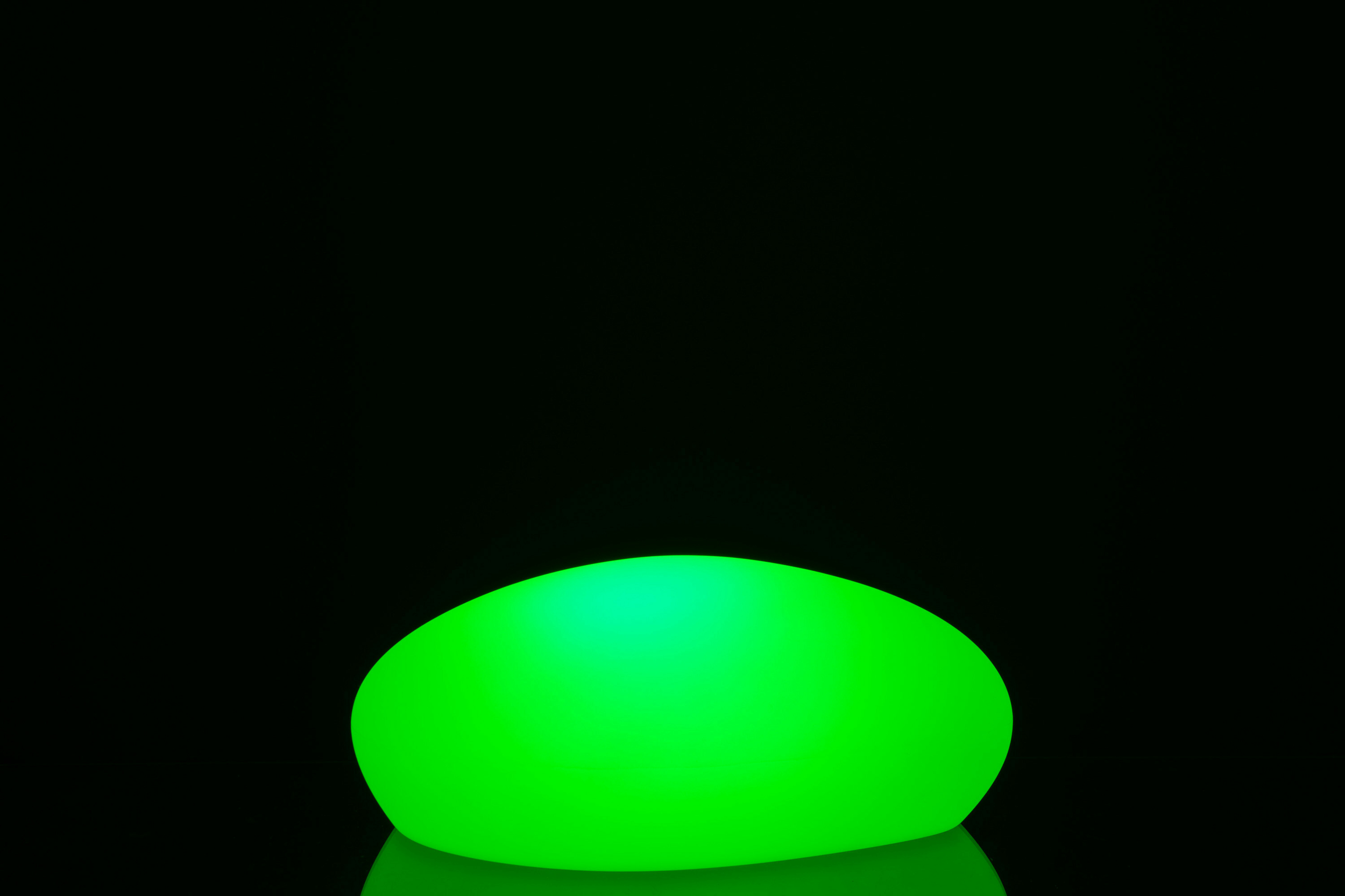 20269-8