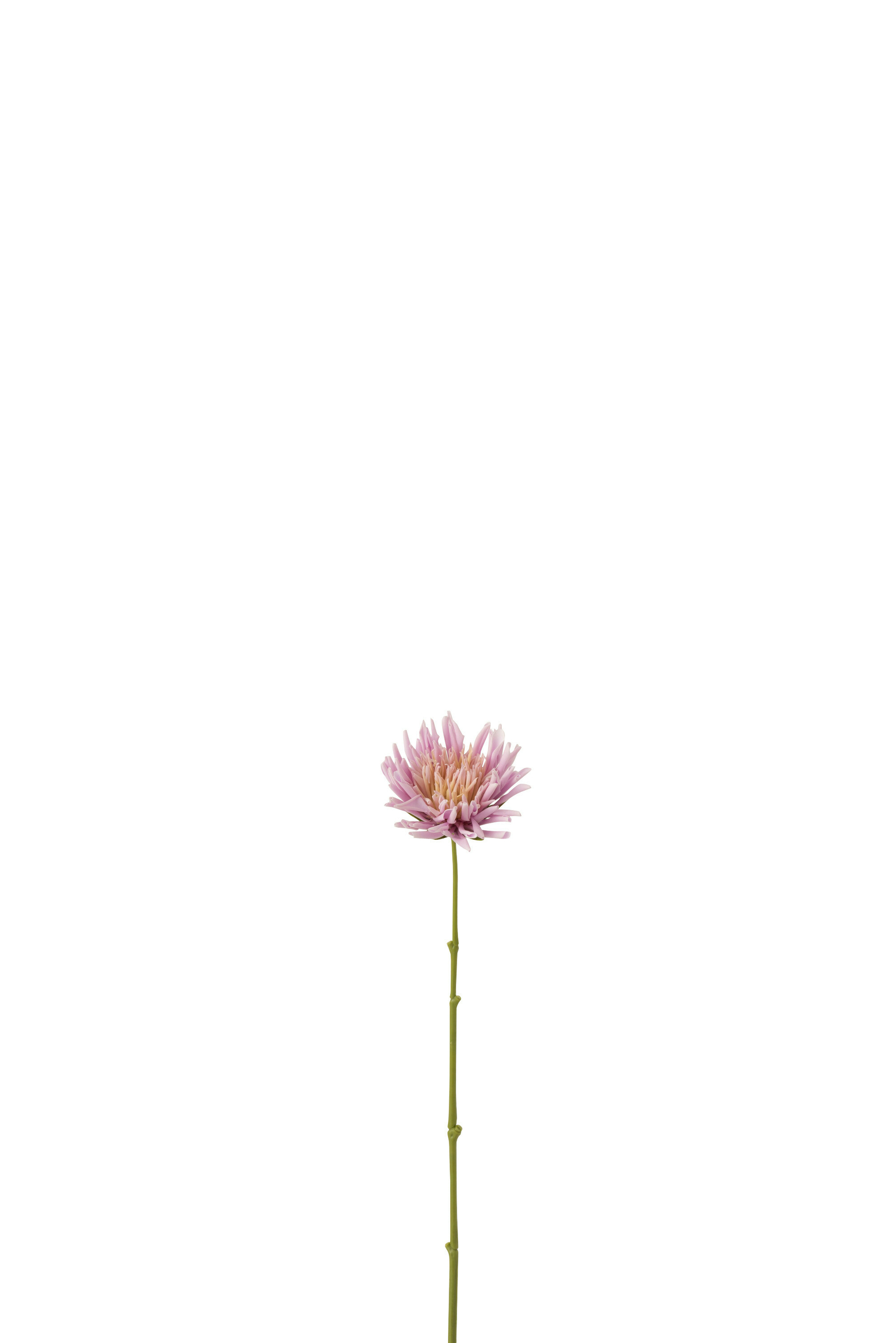 12426