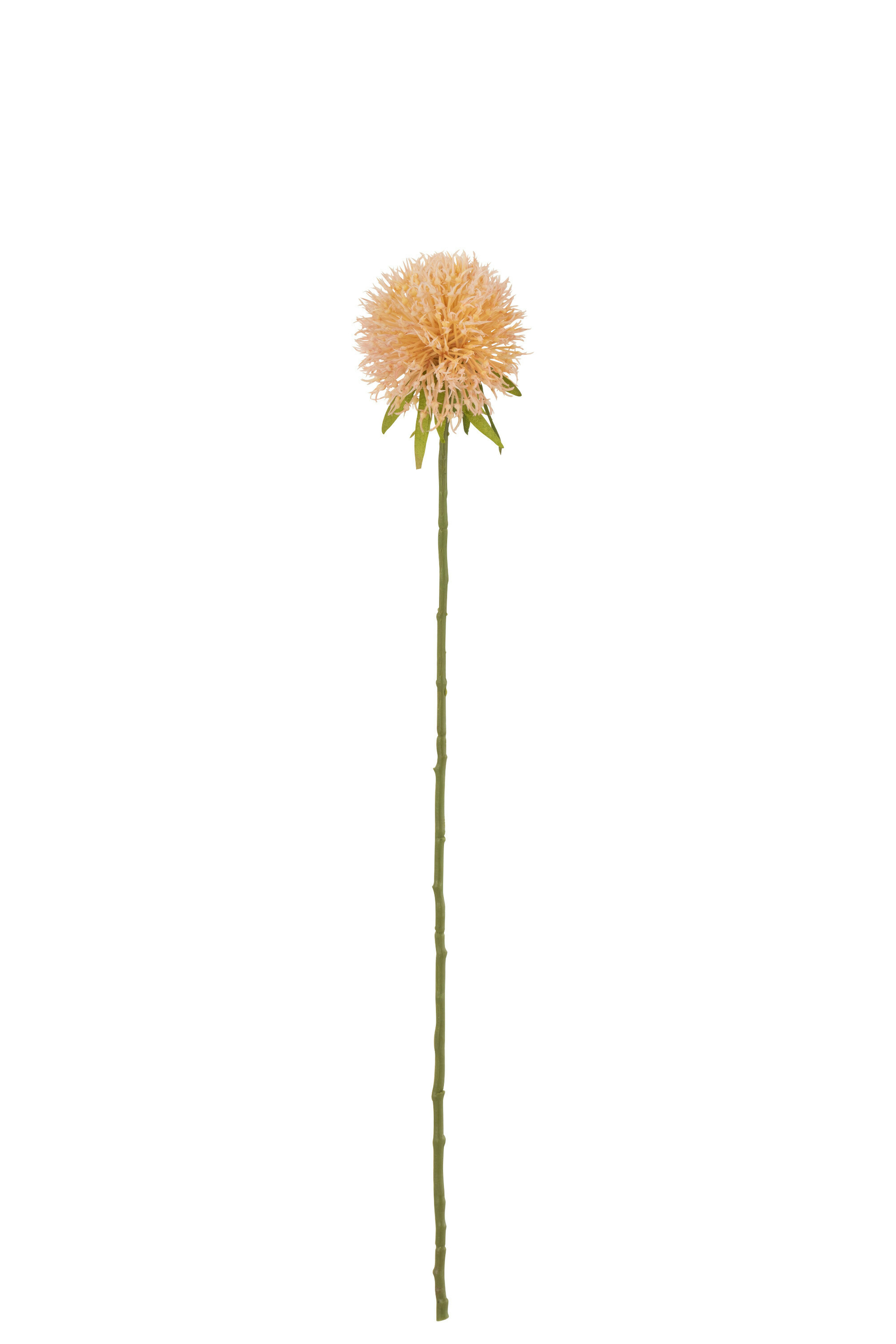 33044