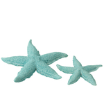 40507-2
