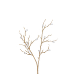 37569