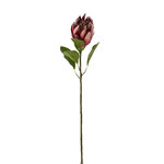 12460