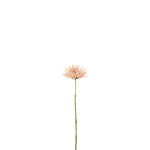12416
